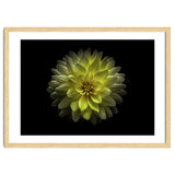 Backyard Flowers No 128 Color Version thumbnail