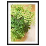 Maidenhair Queen thumbnail