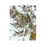 Patterns In Nature (Print Only) thumbnail