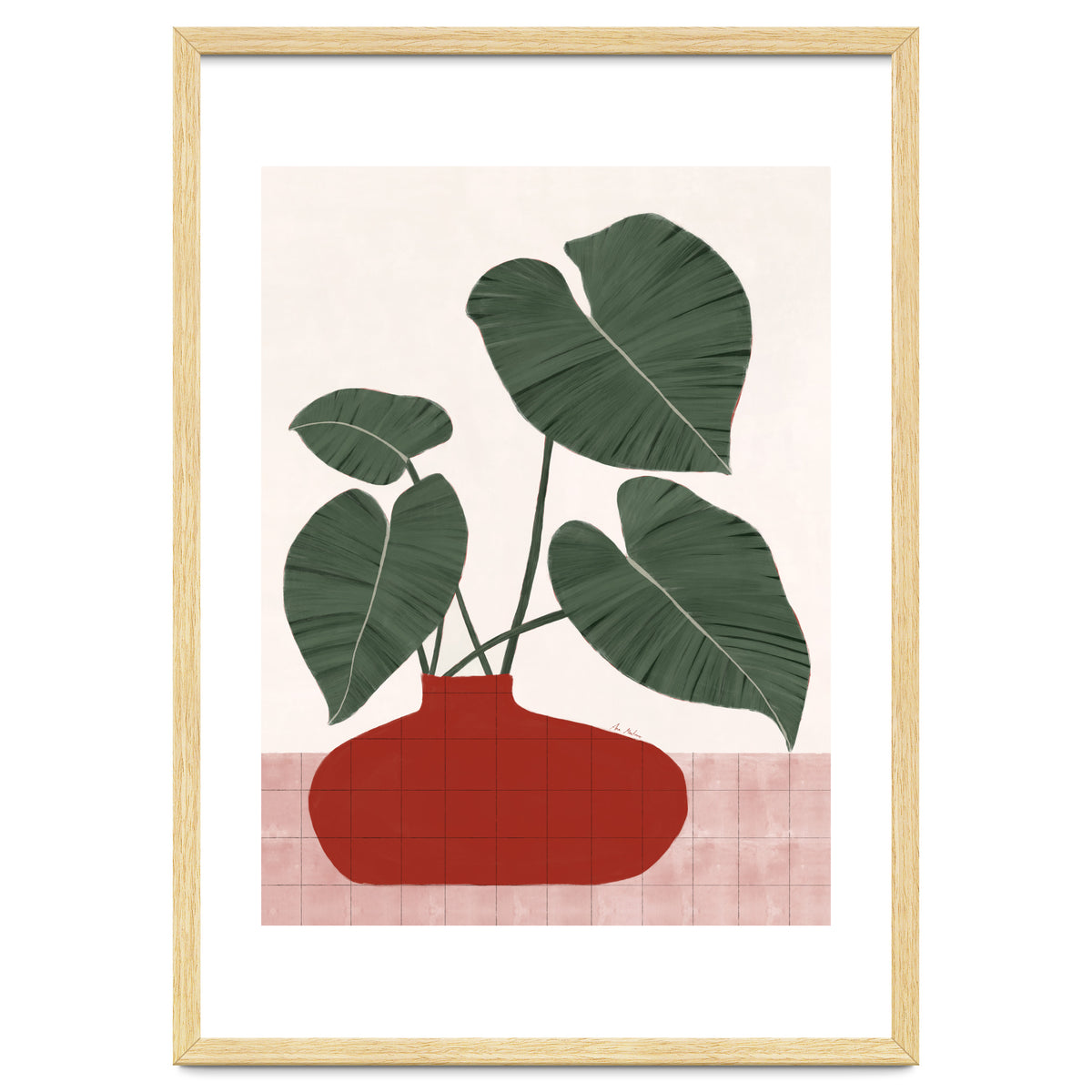 Philodendron Gloriosum plant