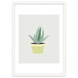 Succulent V1 thumbnail