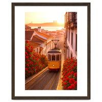 The Charm of a Classic City Tram