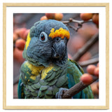 Yellow Headed Amazon Parrot Close Up Portrait thumbnail