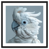 White Cockatoo Bird Portrait Close Up thumbnail