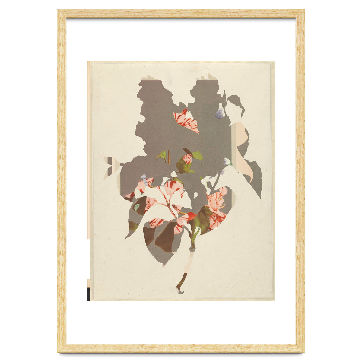 The First Plant · M2