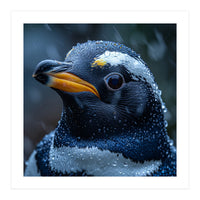 Macro view of a Penguin with Water Droplets (Print Only)