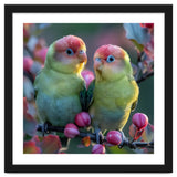 Two Lovebirds On A Branch Surrounded By Berries thumbnail