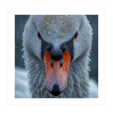 Close Up Of A Swan's Face With Water Droplets (Print Only) thumbnail