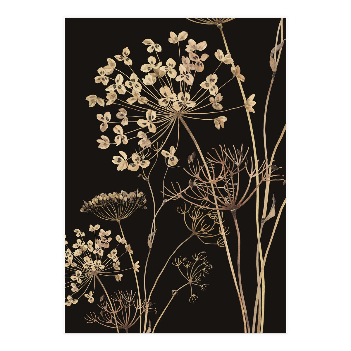 Wildflowers I (Print Only)