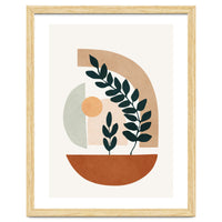 Soft Shapes III