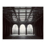 Levitation (Print Only) thumbnail