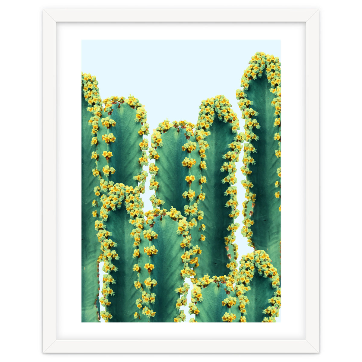 Adorned Cactus #society6 #artprints #buyart