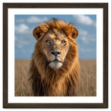 Majestic Lion In African Savanna Under Blue Sky thumbnail
