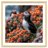 Atlantic Puffin Bird Perched On Orange Flowers thumbnail