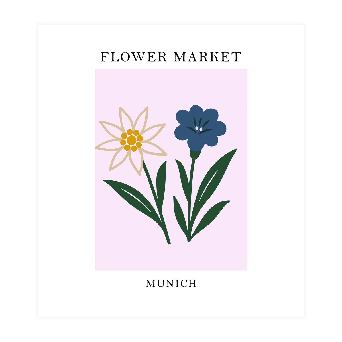Munich Flower Market - Minimalist Edelweiss Botanical Print (Print Only)