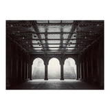 Levitation (Print Only) thumbnail