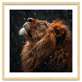 Lion Looking Up In The Snow Majestic thumbnail