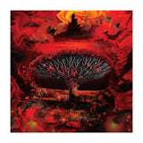 Socotra Dragon Blood tree (Print Only) thumbnail
