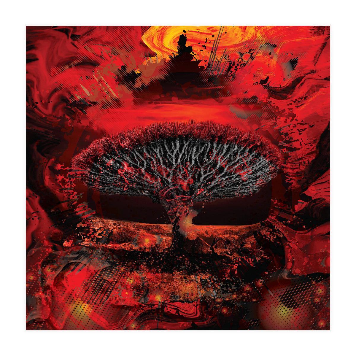 Socotra Dragon Blood tree (Print Only)