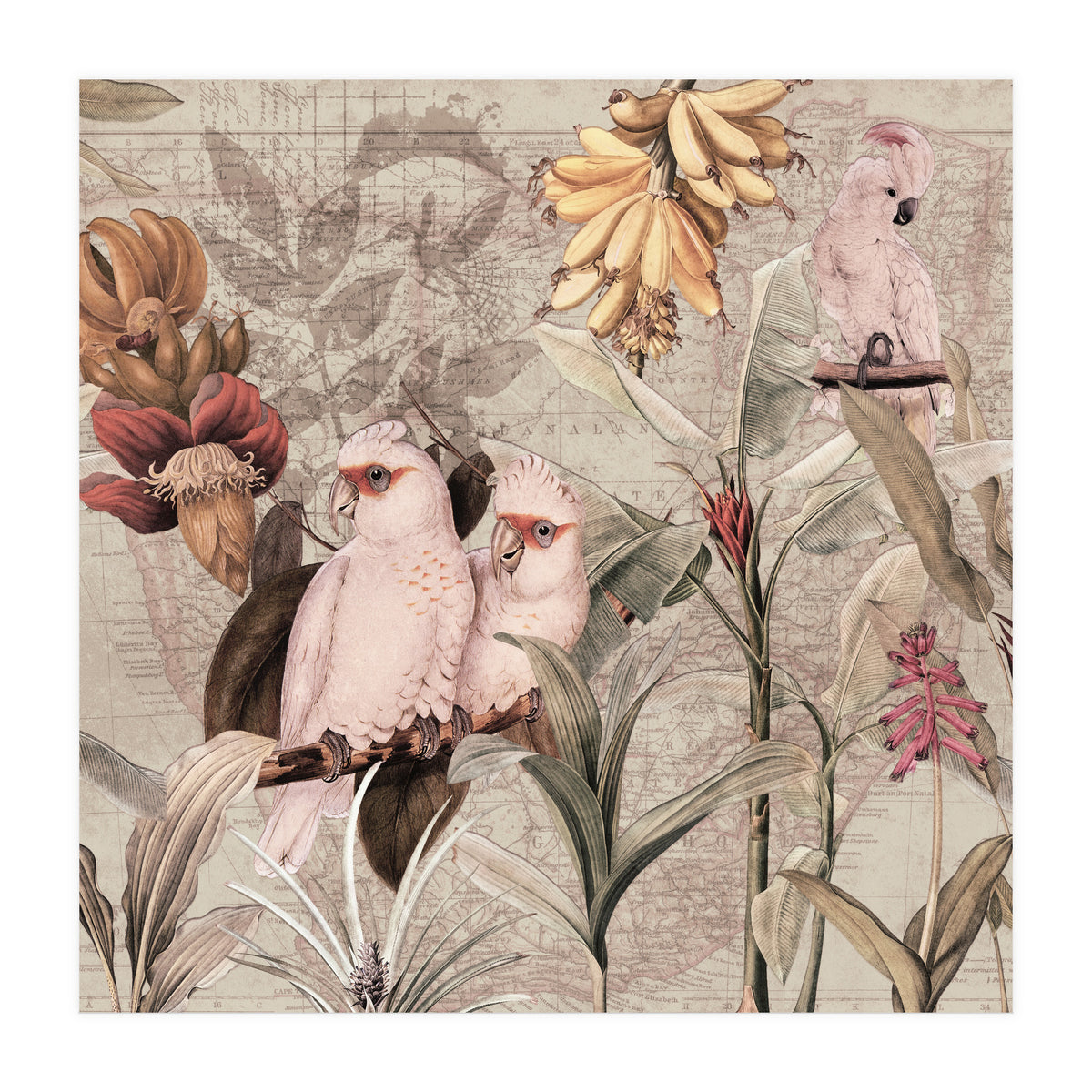 Cockatoo Exotic Bird Jungle  (Print Only)