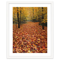 Ethereal Autumn Forest Path
