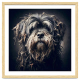 Old Dog 03 thumbnail