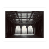 Levitation (Print Only) thumbnail
