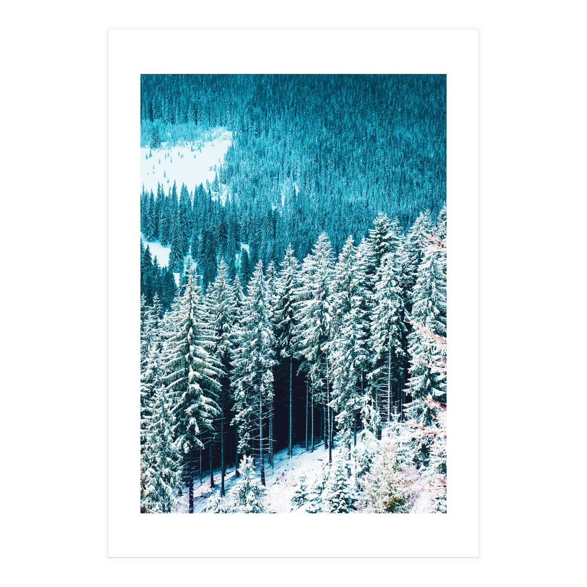 Rainforest #society6 #decor #buyart (Print Only)