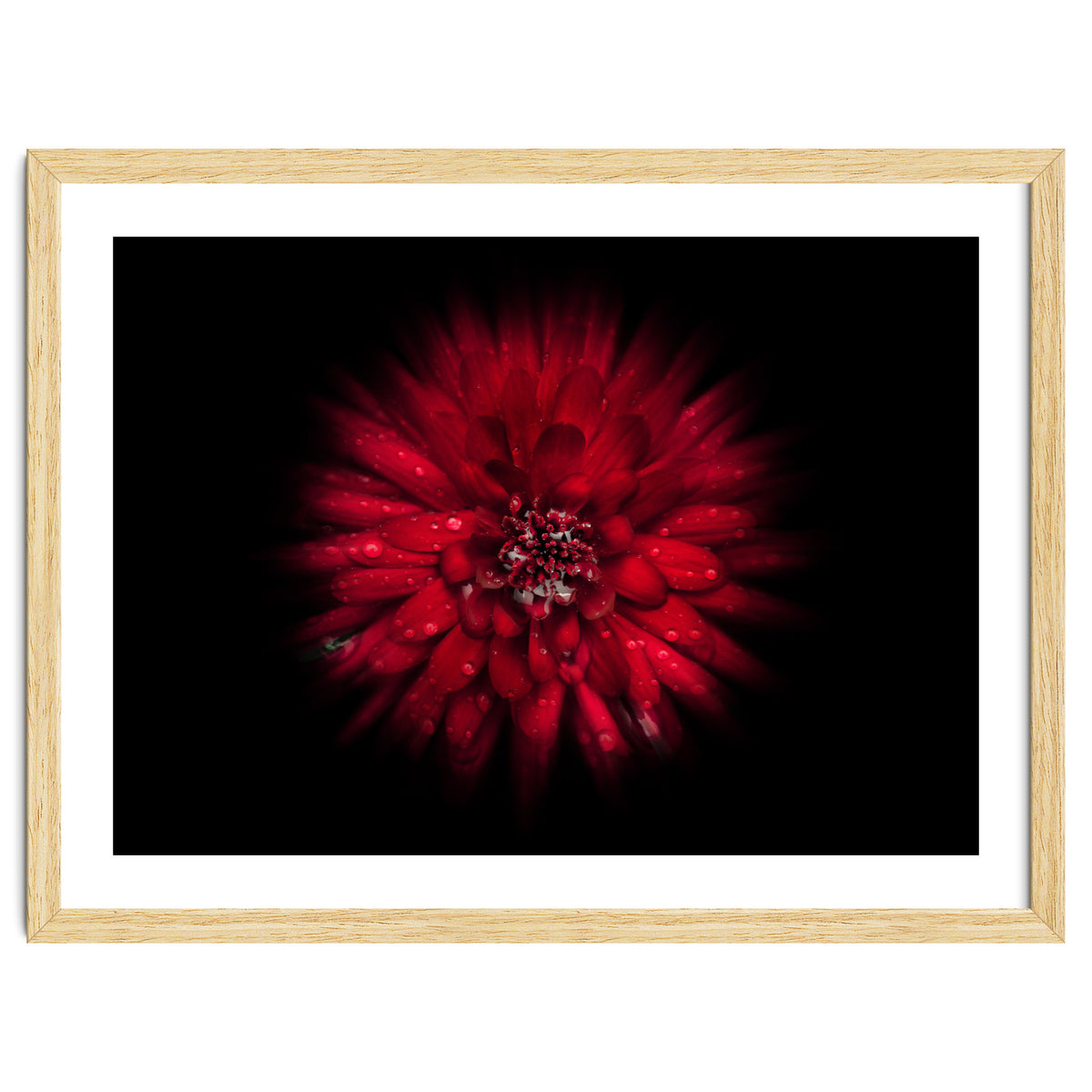 Backyard Flowers No 45 Color Flow Version