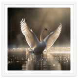 Graceful Swan Spreading Wings On Sparkling Water thumbnail