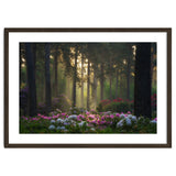 Rhododendron forest thumbnail