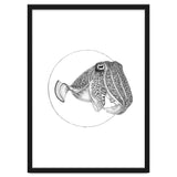 The Fascinating Cuttlefish thumbnail
