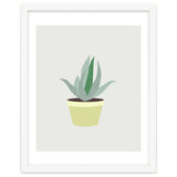Succulent V1 thumbnail