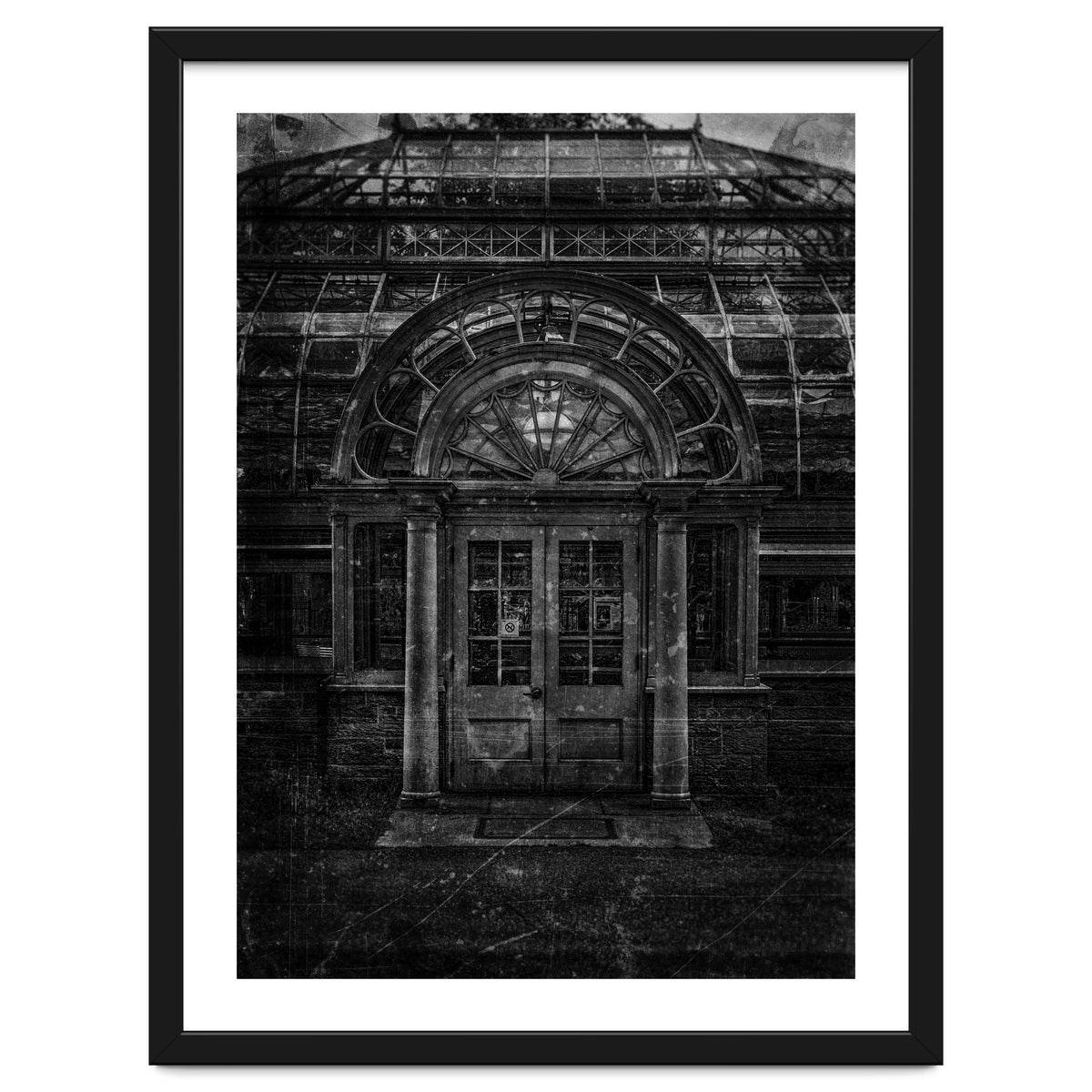 Allan Gardens Conservatory Palm House No 5 Old Film Version