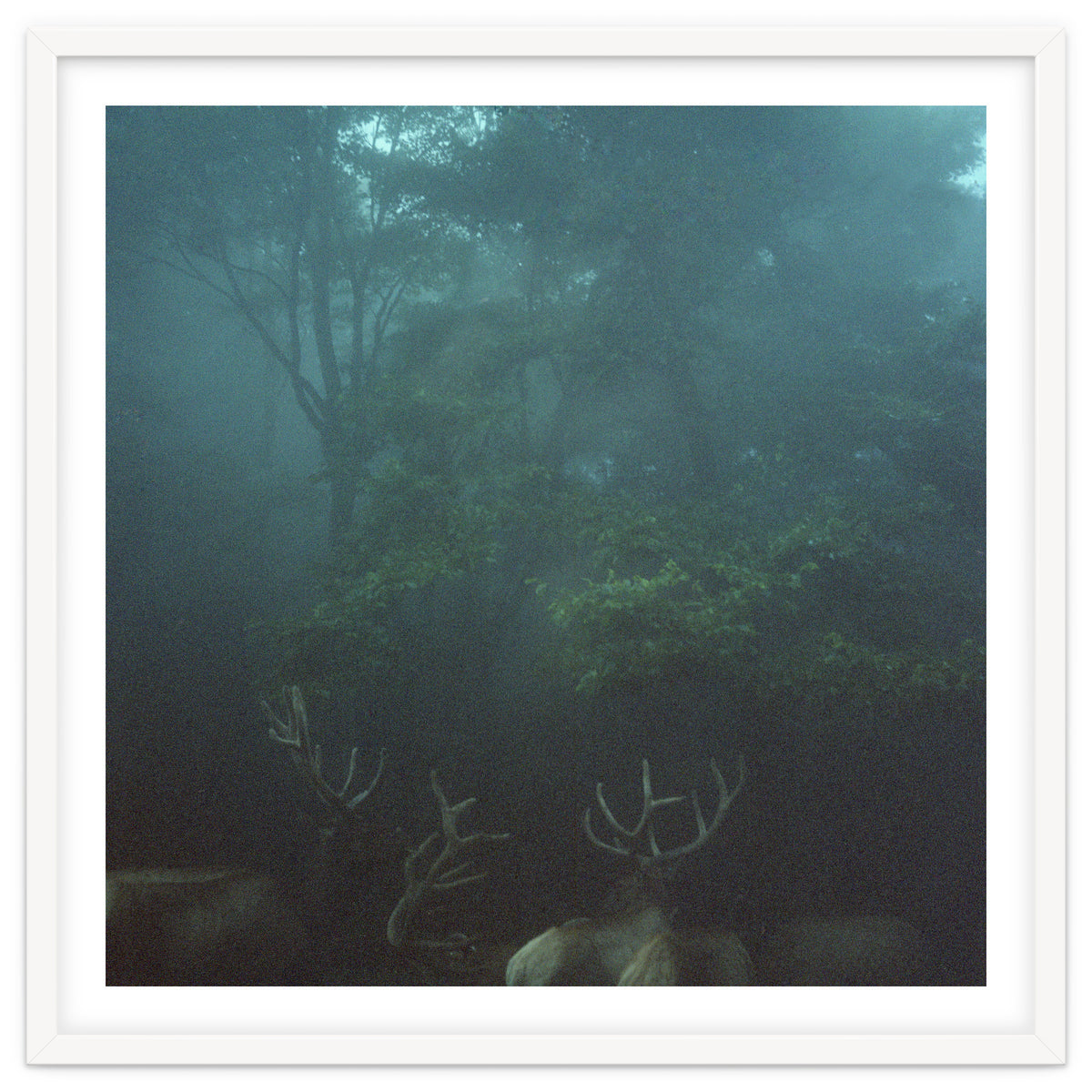 Silence of breath - 12