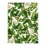Greenery #society6 #decor #buyart (Print Only) thumbnail