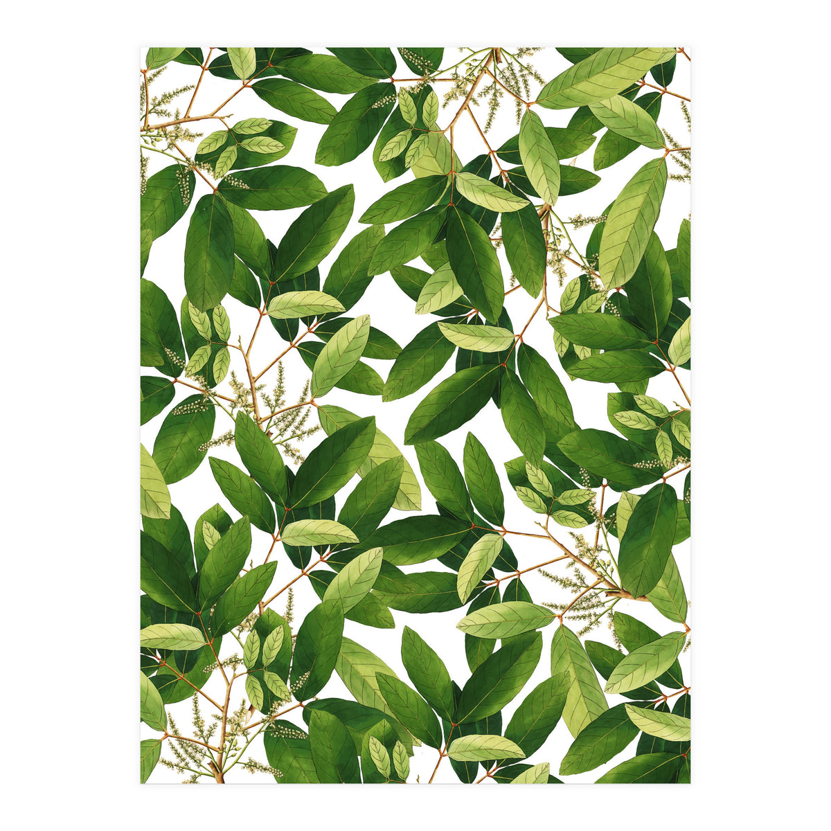 Greenery #society6 #decor #buyart (Print Only)