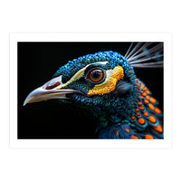 Close Up Of A Peacock Bird Head Eye (Print Only)