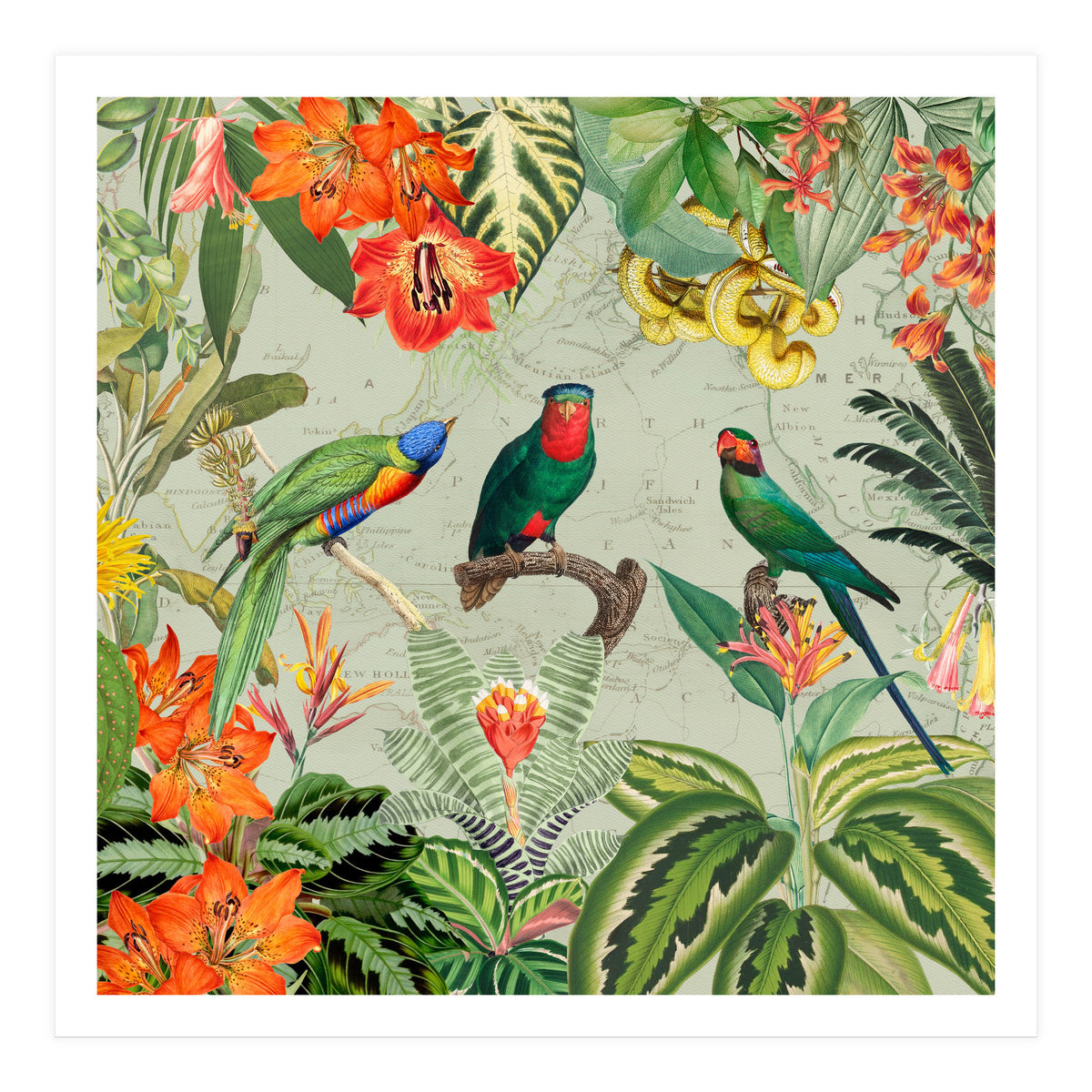 Exotic Parrots Jungle Landscape (Print Only)