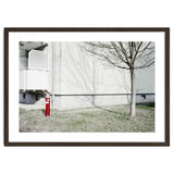 Red light pole and Tree shadow on the wall thumbnail