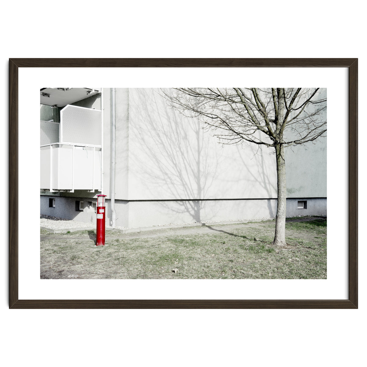 Red light pole and Tree shadow on the wall