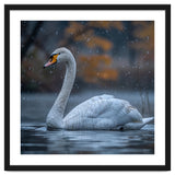 Swan Floating Gracefully On Water In Autumn thumbnail