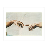 The Sistine Chapel; ceiling frescos after restoration. The creation of Adam. (Print Only) thumbnail