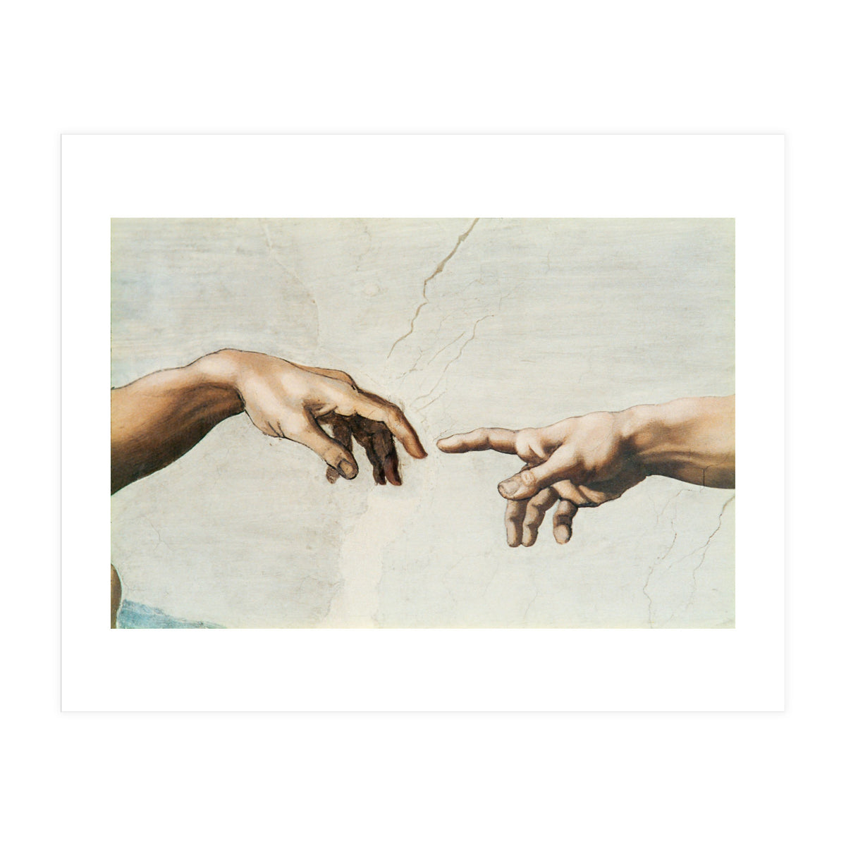 The Sistine Chapel; ceiling frescos after restoration. The creation of Adam. (Print Only)