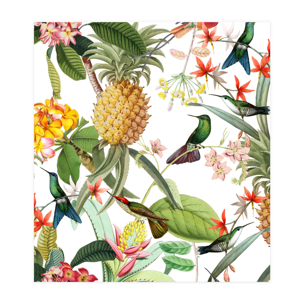 Hummingbirds in tropical Jungle (Print Only)