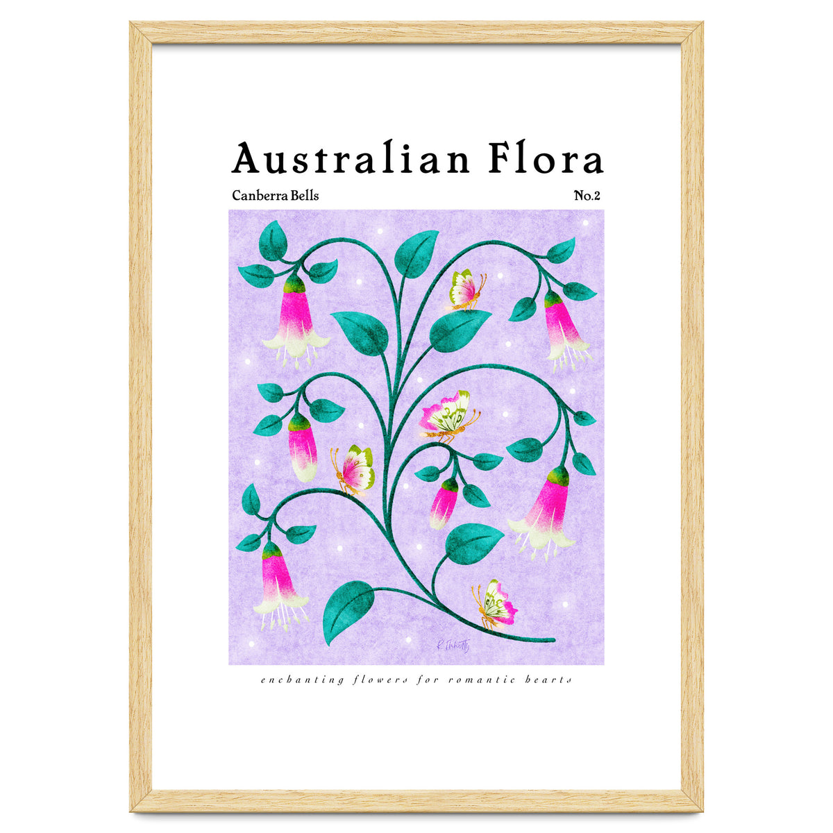 Australian Flora: Canberra Bells