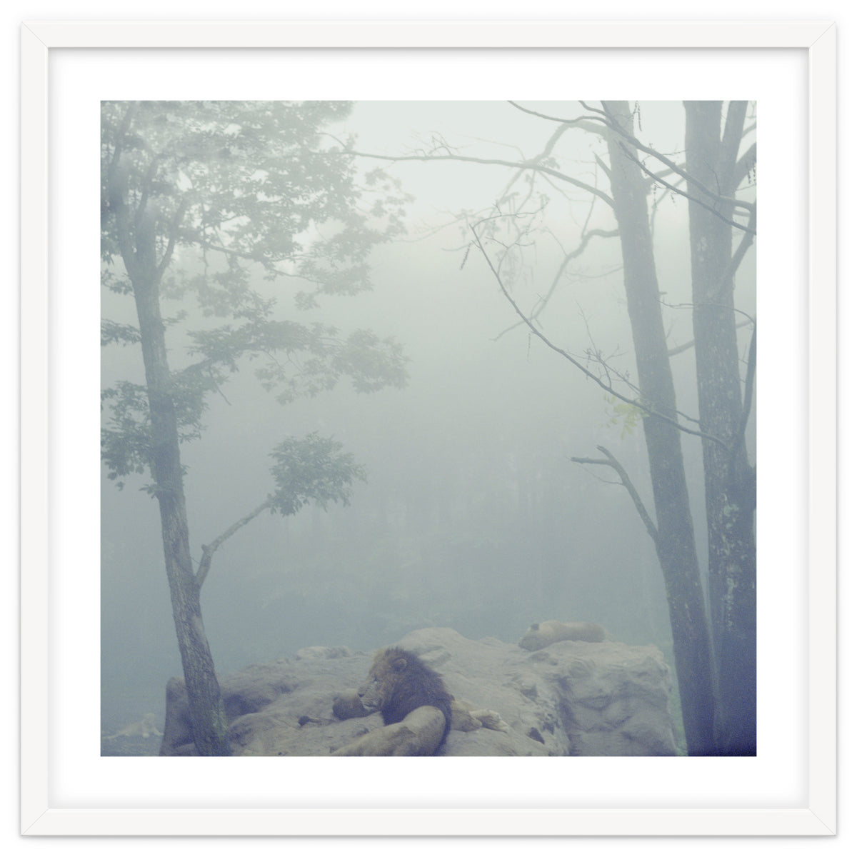 Silence of breath - 02