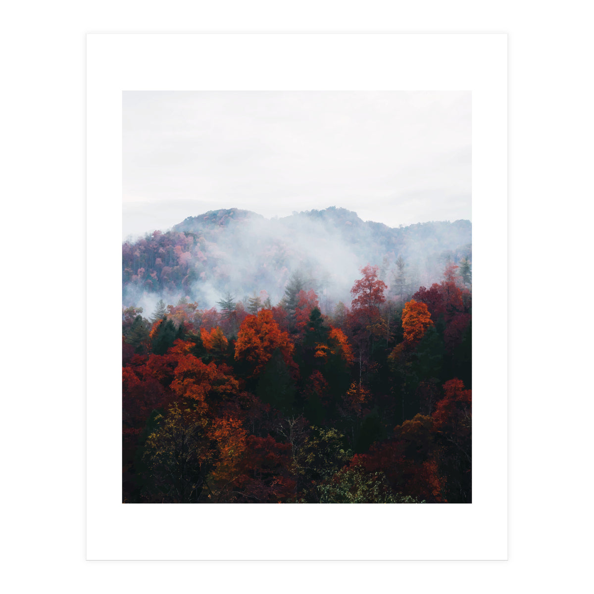 Fog (Print Only)