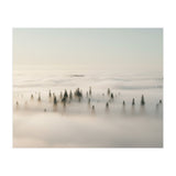 Misty Peaks: Pine Forest Above the Clouds (Print Only) thumbnail