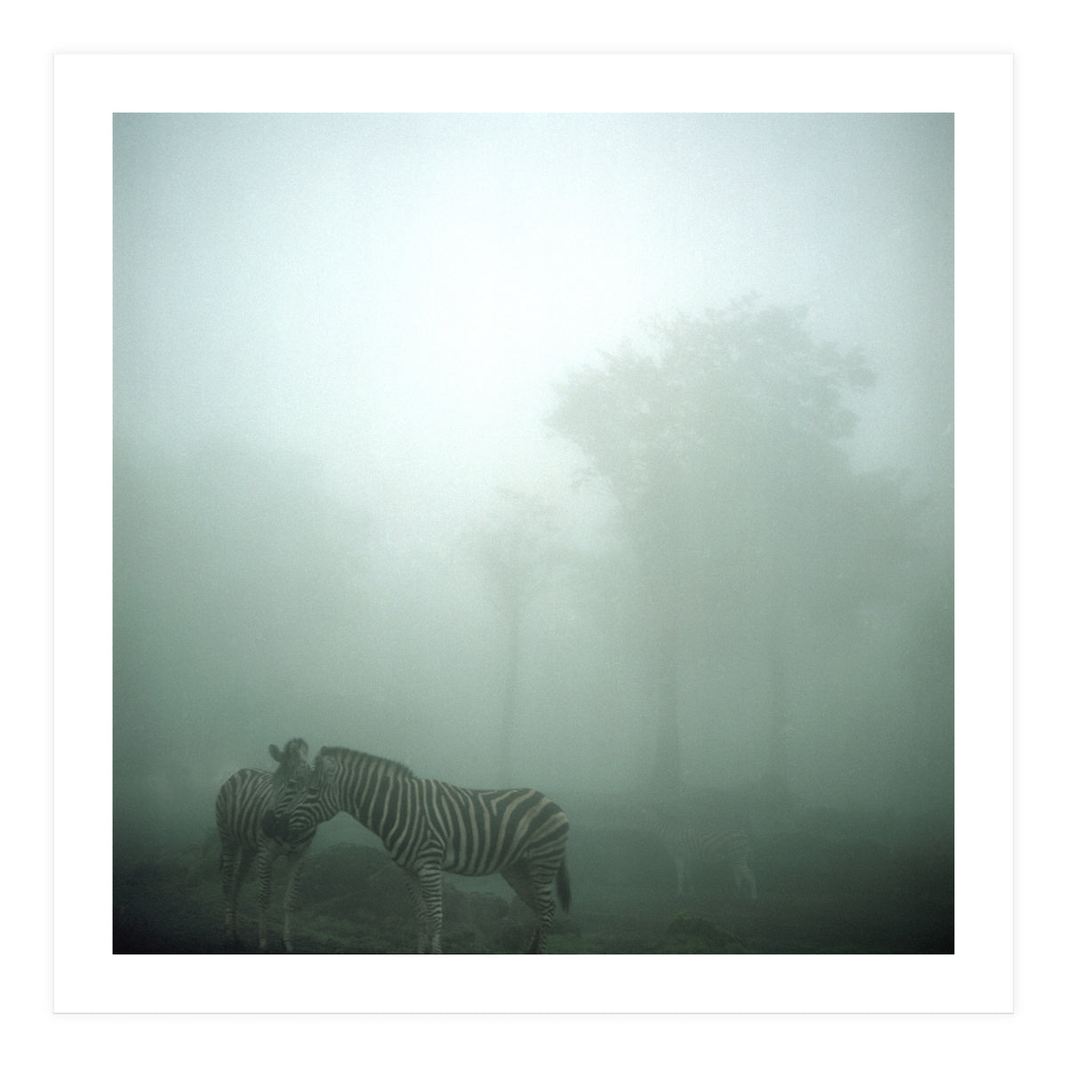 Silence of breath - 15 (Print Only)